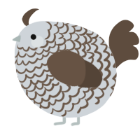 A mist and bark chicken with a lace pattern