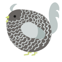 A grey and silver chicken with a lace pattern