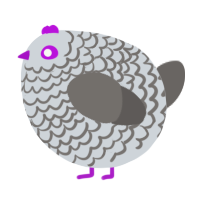 A mist and grey chicken with a lace pattern