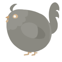 A ash chicken with a head pattern