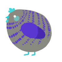 A ash and indigo chicken with a bar pattern