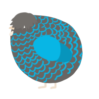 A grey and cerulean chicken with a lace pattern