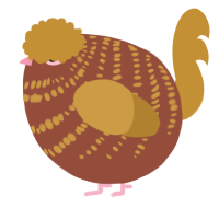 A russet and gold chicken with a bar pattern