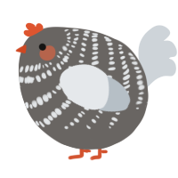 A grey and mist chicken with a bar pattern