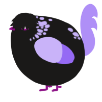 A sable and lilac chicken with a neck-speckle pattern