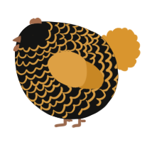 A black and orange chicken with a lace pattern