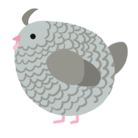 A silver and ash chicken with a lace pattern