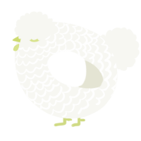 A white chicken with a lace pattern