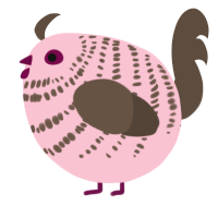 A rose and bark chicken with a bar pattern