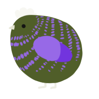 A olive and blurple chicken with a bar pattern