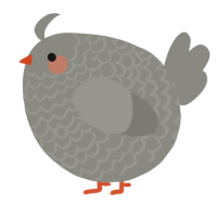 A ash chicken with a lace pattern