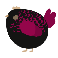 A black and maroon chicken with a half-lace pattern