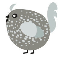 A ash and silver chicken with a speckle pattern