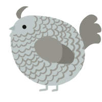 A silver and ash chicken with a lace pattern
