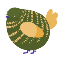 A olive and honey chicken with a bar pattern