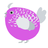 A orchid and mist chicken with a half-lace pattern