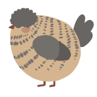 A beige and grey chicken with a bar pattern