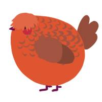 A vermilion and russet chicken with a half-lace pattern