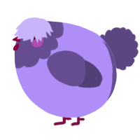 A lilac and overcast chicken with a head pattern
