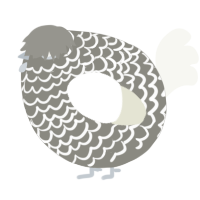 A ash and white chicken with a lace pattern