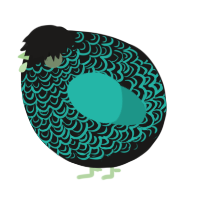 A sable and turquoise chicken with a double-lace pattern