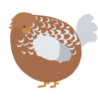 A brown and mist chicken with a half-lace pattern