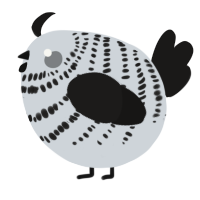 A mist and sable chicken with a bar pattern