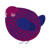 A wine and navy chicken with a lace pattern