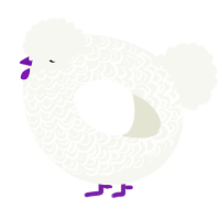 A white chicken with a double-lace pattern