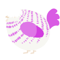 A white and orchid chicken with a bar pattern