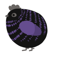 A black and overcast chicken with a bar pattern