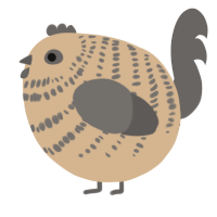 A beige and grey chicken with a bar pattern