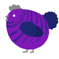 A violet and navy chicken with a bar pattern