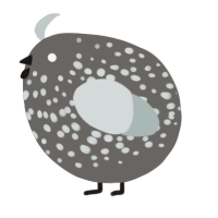 A grey and silver chicken with a speckle pattern