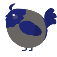 A grey and navy chicken with a head pattern