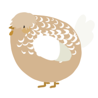 A beige and white chicken with a half-lace pattern