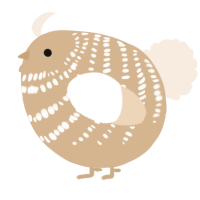 A beige and cream chicken with a bar pattern