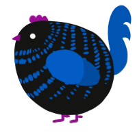 A black and ultramarine chicken with a bar pattern