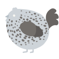 A mist and grey chicken with a speckle pattern