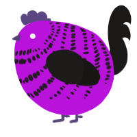A amethyst and sable chicken with a bar pattern