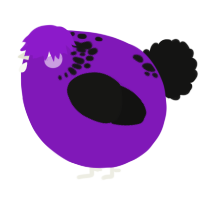 A violet and black chicken with a neck-speckle pattern
