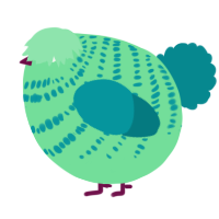 A spring and teal chicken with a bar pattern