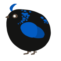 A black and ultramarine chicken with a neck-speckle pattern