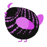 A black and orchid chicken with a bar pattern