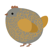 A ash and gold chicken with a double-lace pattern