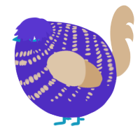 A indigo and beige chicken with a bar pattern