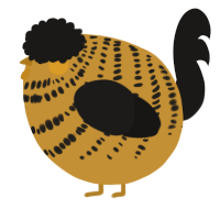 A gold and sable chicken with a bar pattern