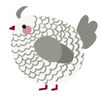 A white and ash chicken with a lace pattern