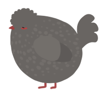 A grey chicken with a speckle pattern