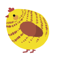 A yellow and russet chicken with a bar pattern